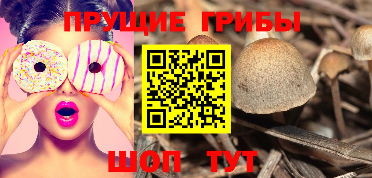 Псилоцибиновые грибы Cubensis  где купить наркоту  Обнинск  Вход с VPN 